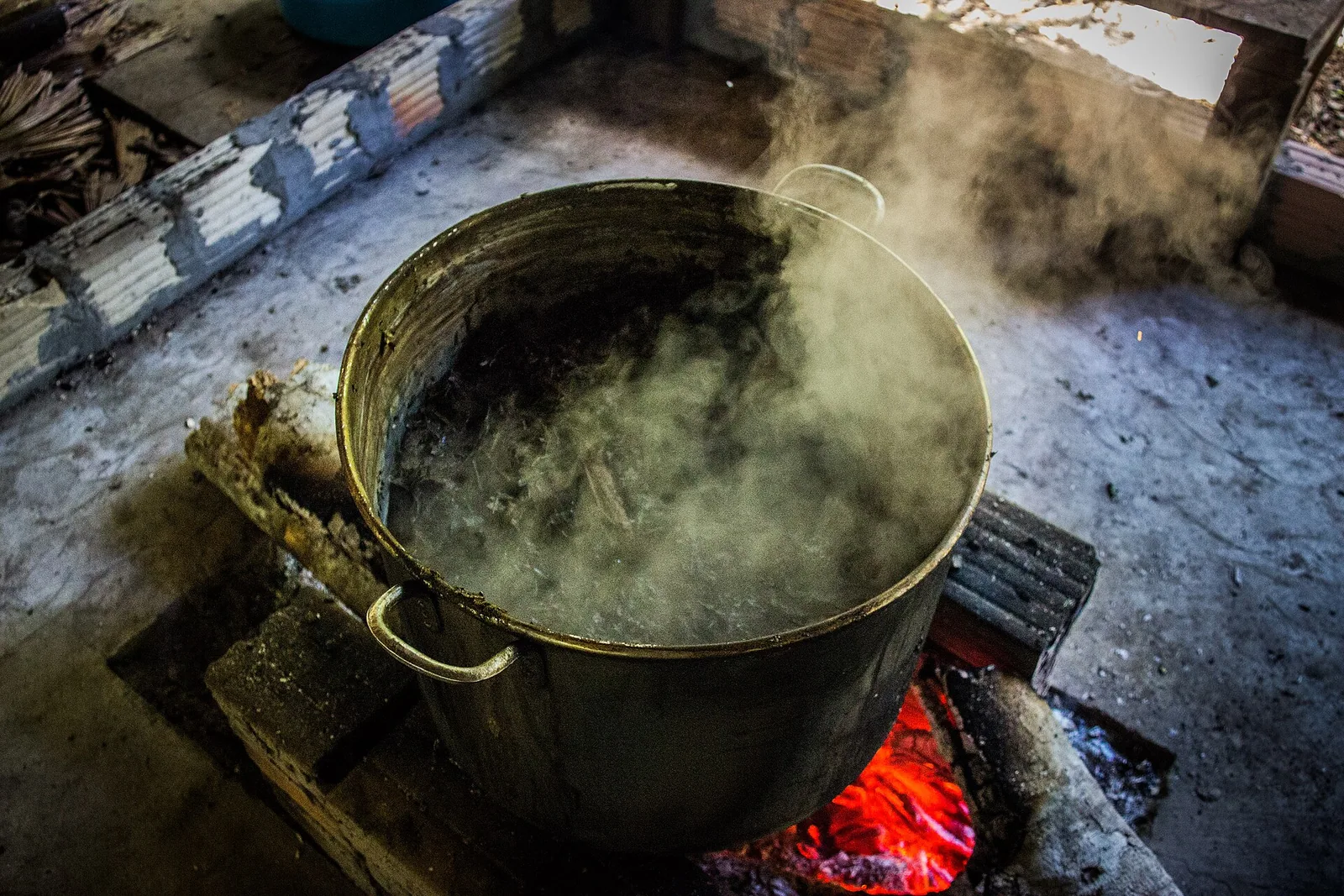 Ayahuasca brewing · Wikimedia Commons