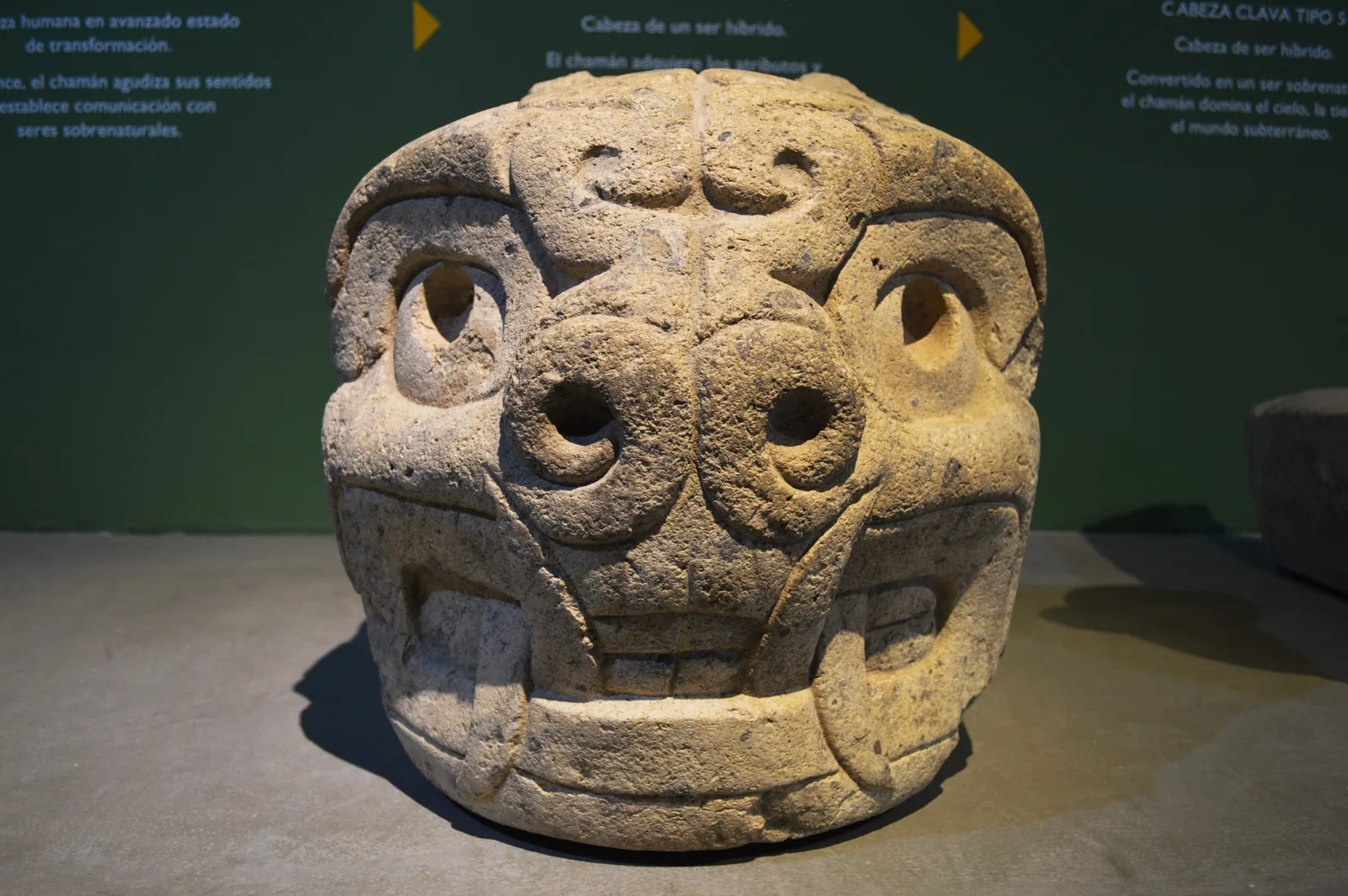 A carved stone tenon head with feline fangs, flared nostrils and round eyes, in the Museo Nacional Chavín