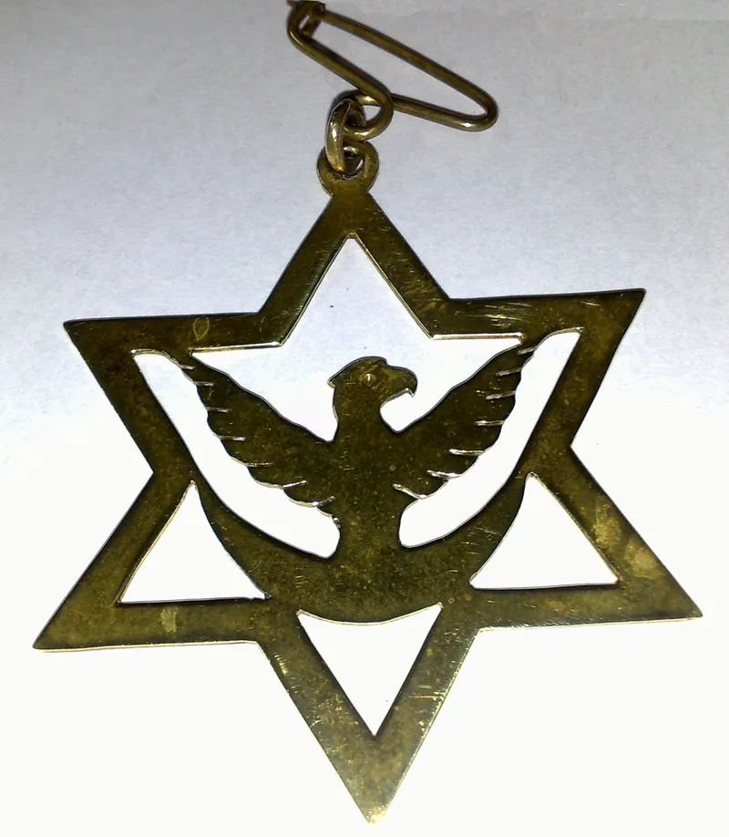 A brass six-pointed star enclosing an eagle with spread wings above a crescent, hung from a pin.