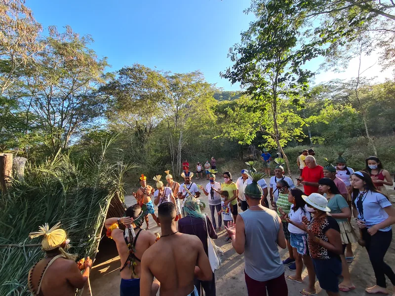 Dancers in straw costumes and feather headdresses moving in a circle under trees, watched by a crowd