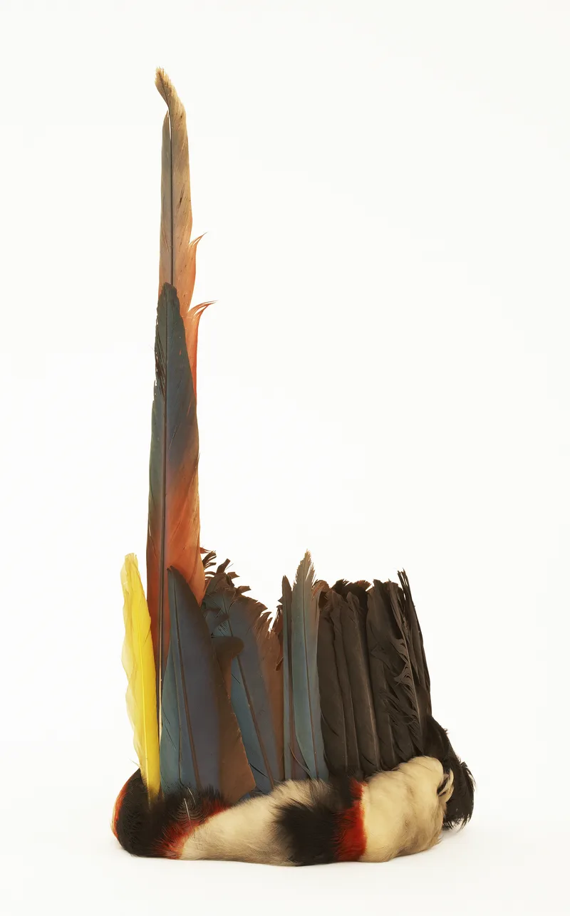 A Shuar shaman’s headdress: a crown of dark and blue feathers rising from a band of black-and-white fur, with one long red and blue tail feather standing upright. Museum aan de Stroom, Antwerp.