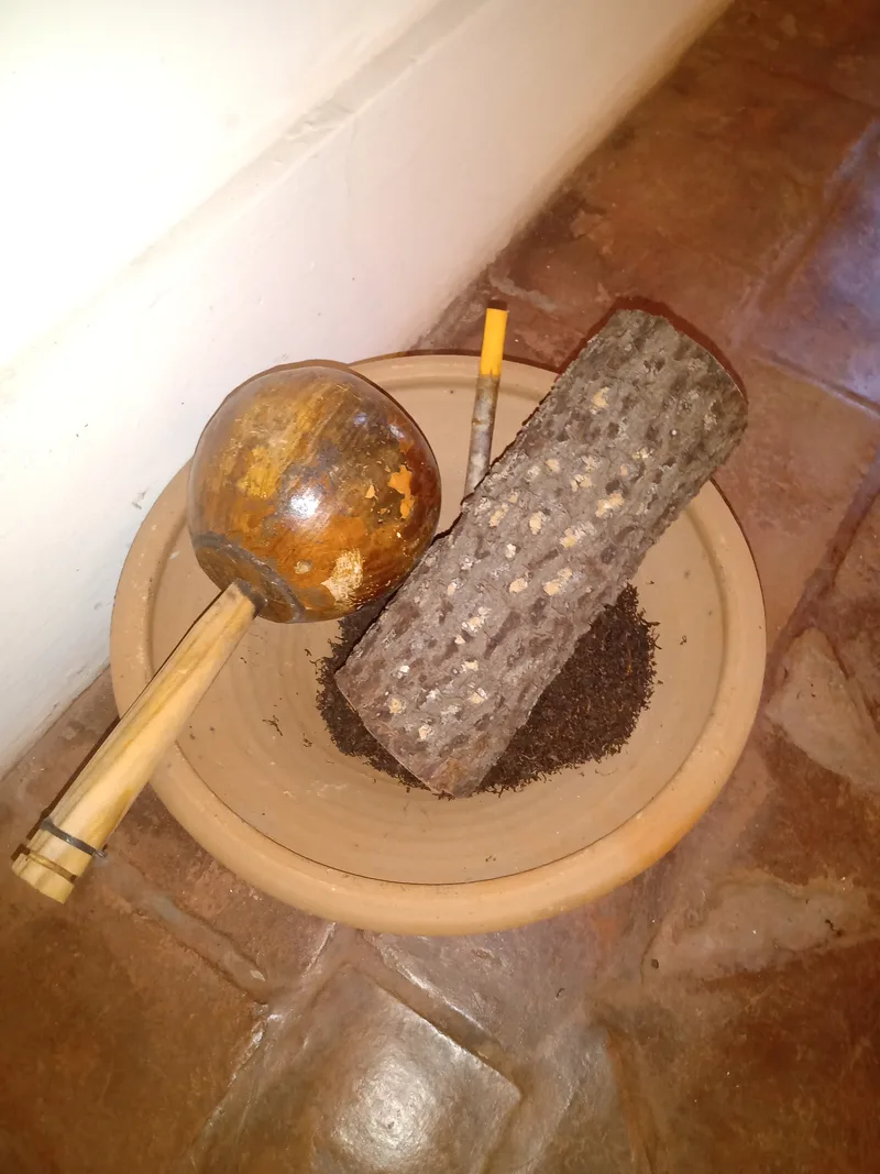 A gourd rattle with a cane handle, a length of jurema trunk and loose tobacco in a shallow clay dish on a tiled floor.