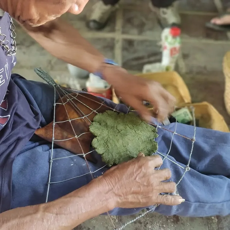 Hands working a green paste on a wire mesh laid over a leaf