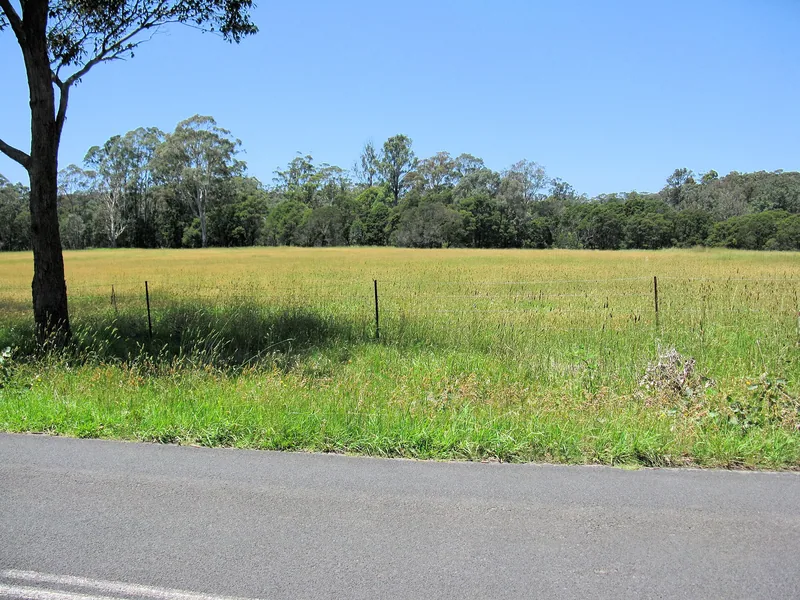 Phalaris aquatica