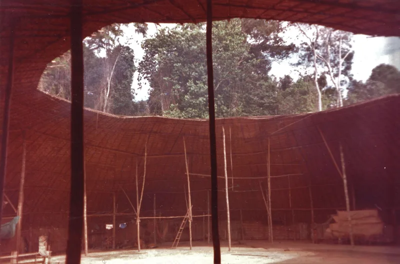 Interior of a Yanomami shabono at Piau, 1998: a circular roof of thatch around an open central plaza, with house posts for each family’s section.
