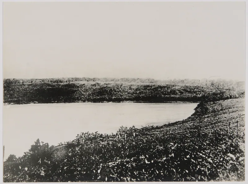 The Igara Paraná beneath La Chorrera, photographed by Thomas Whiffen early in the twentieth century. The McKenna brothers arrived at the mission here in February 1971 in search of an oral DMT preparation, and found a pasture full of Psilocybe cubensis instead.